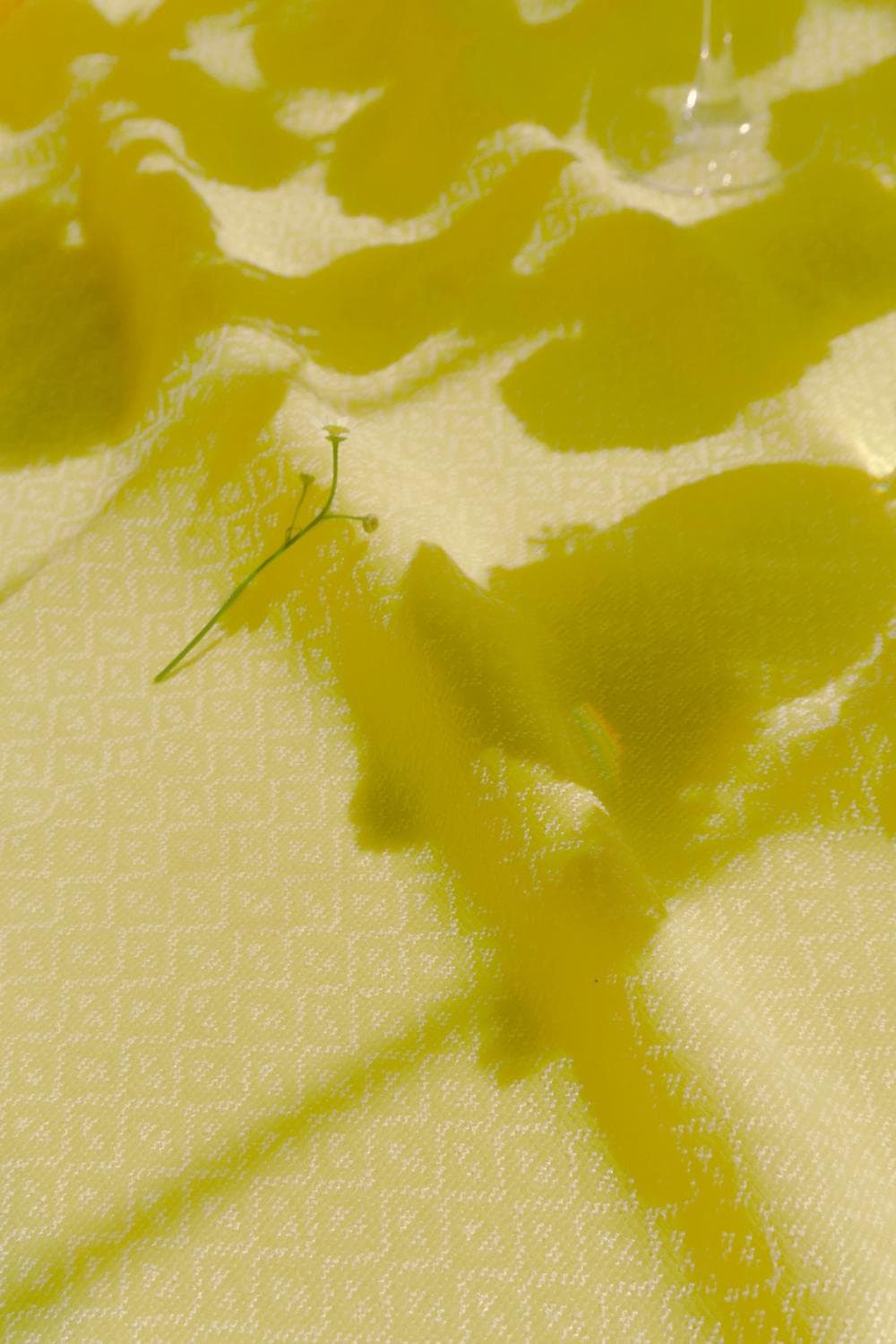 Big Ma, Tom & Jerry-2