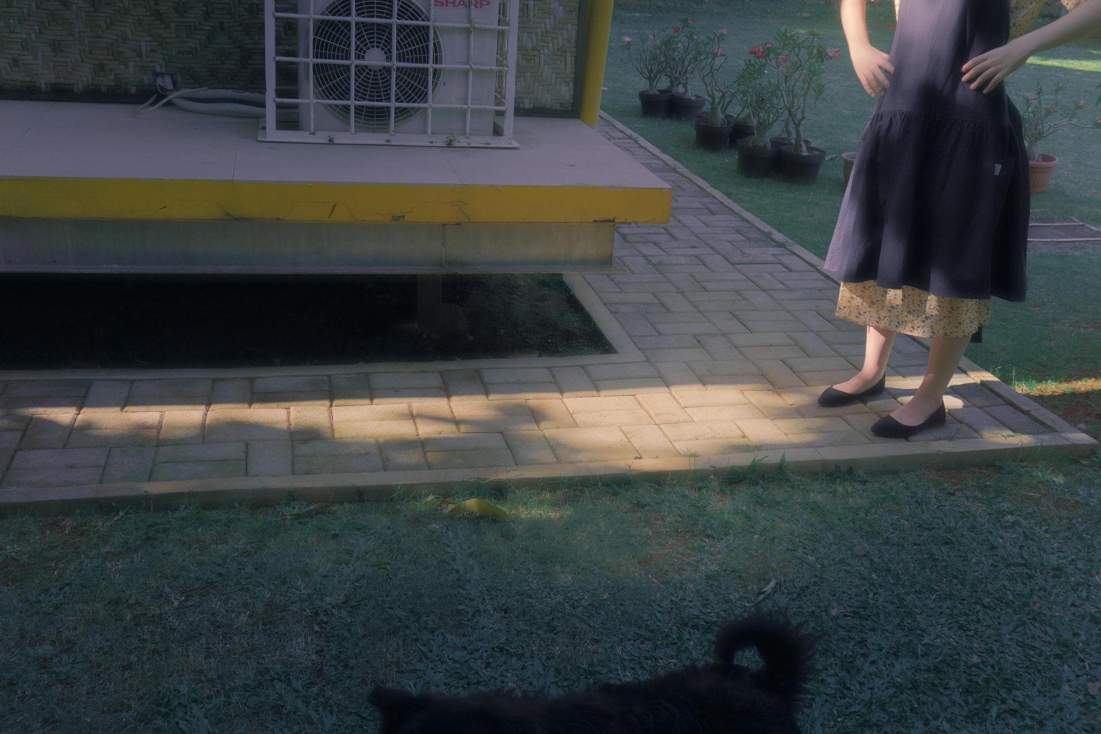 Big Ma, Tom & Jerry-3