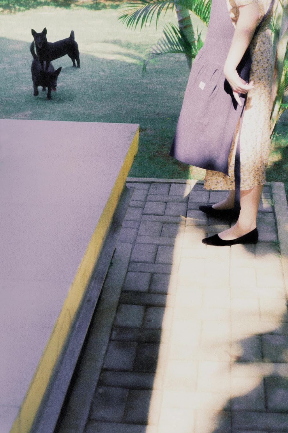 Big Ma, Tom & Jerry-4